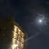 ehvfglcrnp2