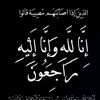 um.muhamad594