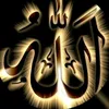 user4847169115261
