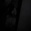 lina_p93