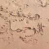 oum.mounib27