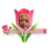 tulipadarosie