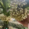 tiktok096459