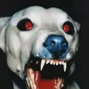 hell_studio666