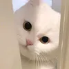 r8.12.24