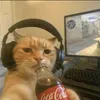 user_haryad