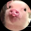 piggyman_67