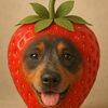 peanutbutter__jellie