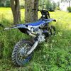 locally_hated_trx450r