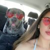 nevs_mastiff_moments