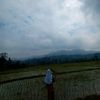 laholipp