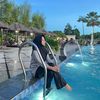 firdaa