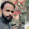 limon.bro598