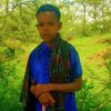 habte8235