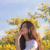 drhsu3