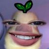 cilaa.chu