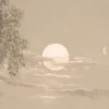 die._24