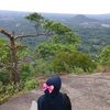 pia_beee1
