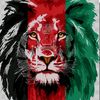gillamanwazir15