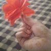 user91982301541334