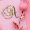 asmaabdirahman861