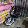 rafii_gayaa_bebass