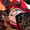 dunia.hanya.semen446