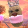 symphony_dtsmpoirng