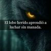 www.lizsary.com
