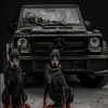 SanCarshop-1