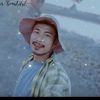 ll.lin92