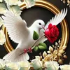user8211001520815