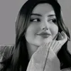 _gull_250