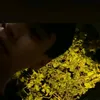 van.hung011008