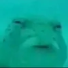 thegreatnugget7