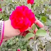 user379501083661