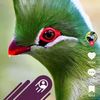 abdul.ghani2147