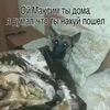 apectobah_3a_tepakt_