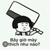 pzz.dzy.t
