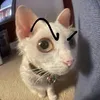 monxinhzailamanhcungcu