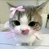 cutecatpy