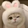 alaisahmatuan0