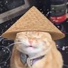 catlover291
