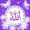 bareeg.al.amal
