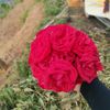 bina.xtha8
