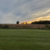 dallastresnak