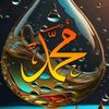 sanaa.hamed73