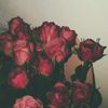 hana_sameh35