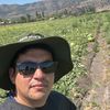 cristbal.prez.ase