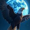 user5611087605968